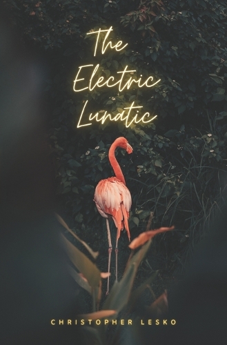 The Electric Lunatic