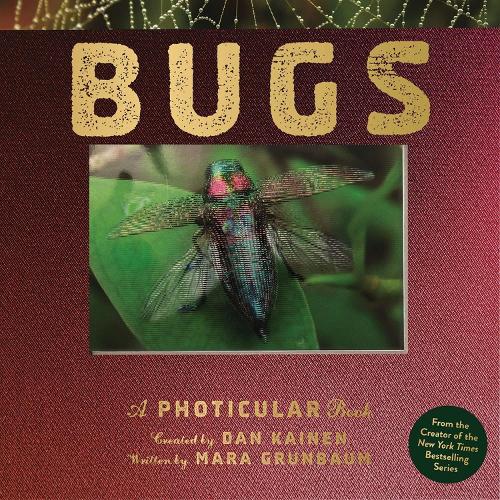 Bugs