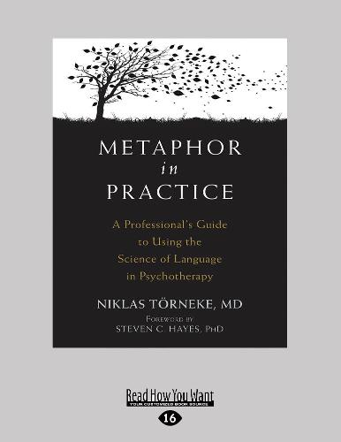 Metaphor in Practice