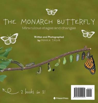 The Monarch Butterfly and The Cecropia Moth
