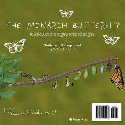 The Monarch Butterfly and The Cecropia Moth
