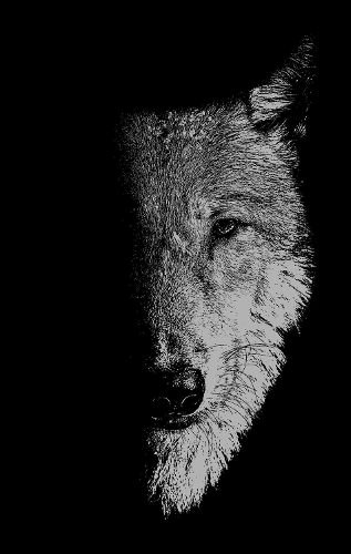 In the company of wolves