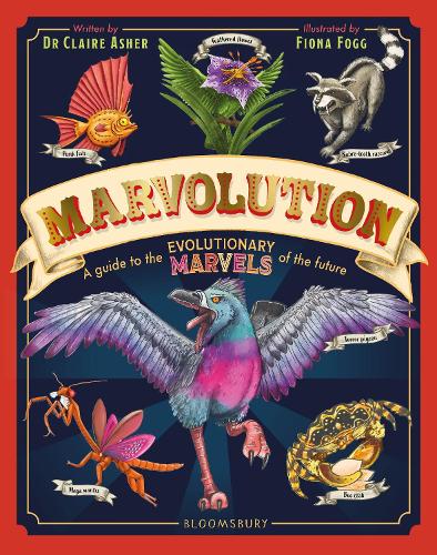 Marvolution