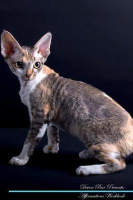 Devon Rex Affirmations Workbook Devon Rex Presents