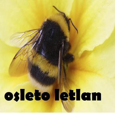 Osleto Letlan