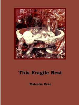 This Fragile Nest