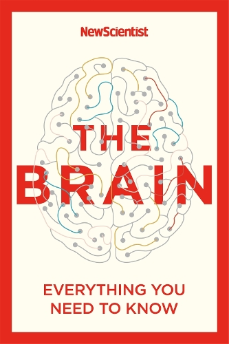 The Brain by New Scientist