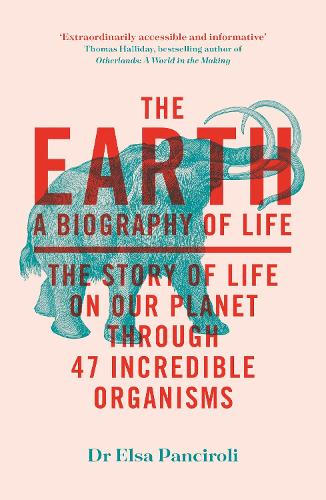 The Earth