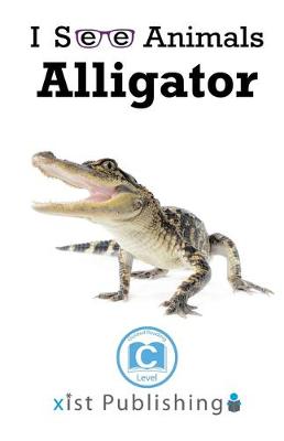 Alligator