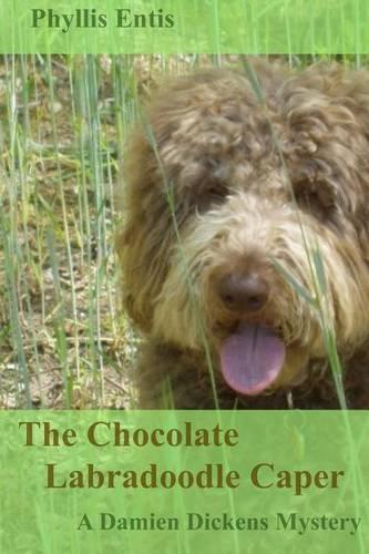 The Chocolate Labradoodle Caper