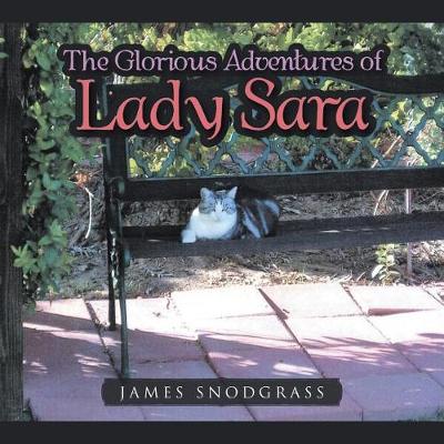 The Glorious Adventures of Lady Sara