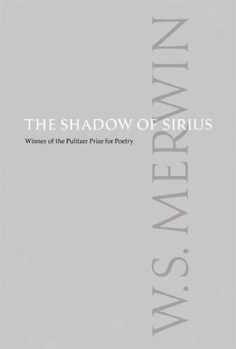 The Shadow of Sirius