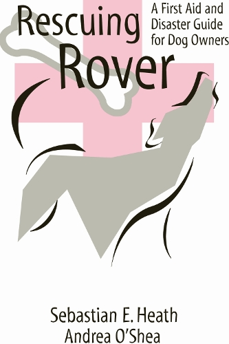 Rescuing Rover