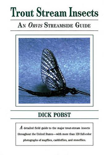Trout Stream Insects