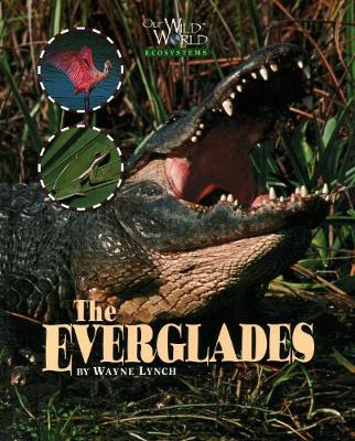 Everglades