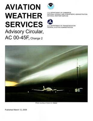 Aviation Weather Services