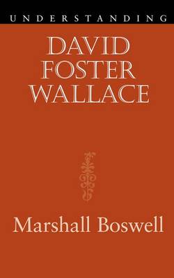 Understanding David Foster Wallace