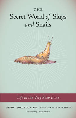 The Secret World Of Slugs And Snails