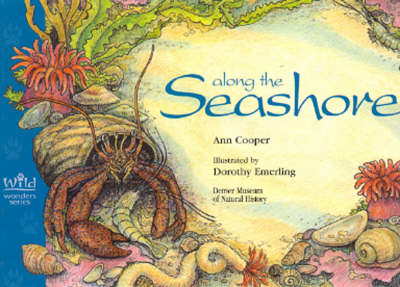 Along the Seashore