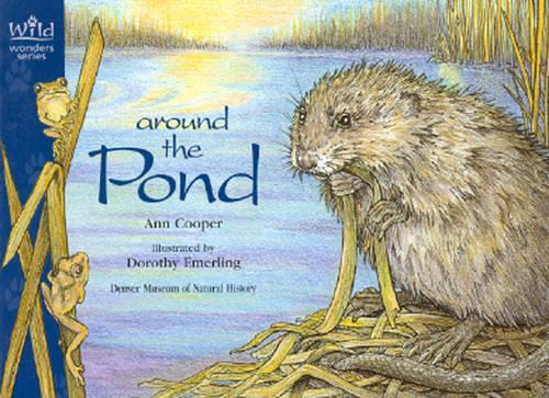 Around the Pond