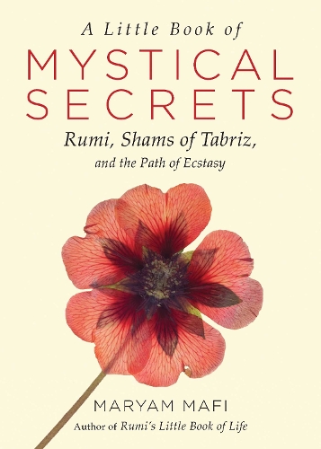 A Little Book of Mystical Secrets