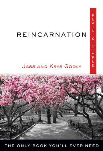Reincarnation, Plain & Simple