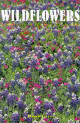 Wildflowers