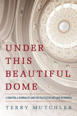 Under This Beautiful Dome