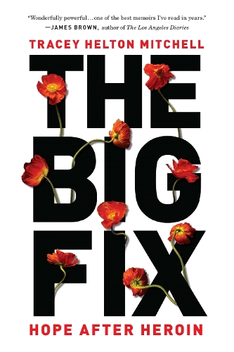 The Big Fix