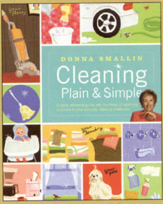 Cleaning Plain and Simple