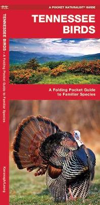 Tennessee Birds