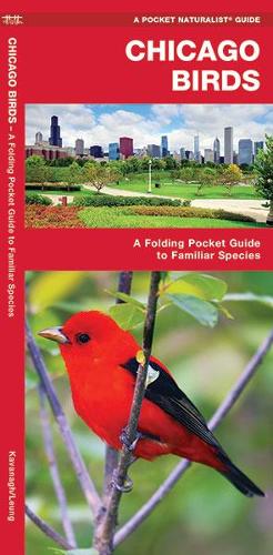 Chicago Birds