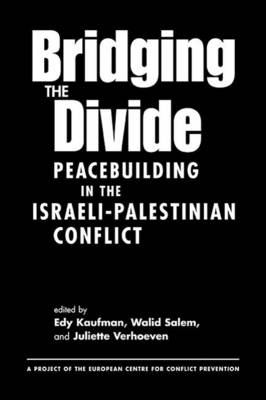 Bridging the Divide