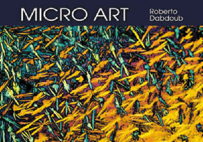 Micro Art