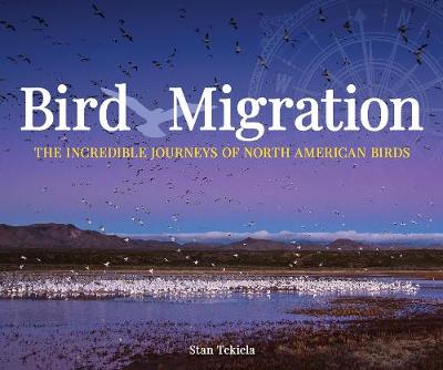 Bird Migration