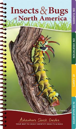 Insects & Bugs of North America