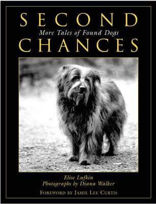 Second Chances