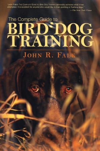 Complete Guide to Bird Dog Training