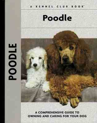 Poodle