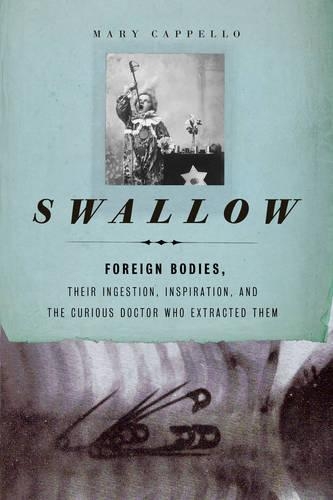 Swallow