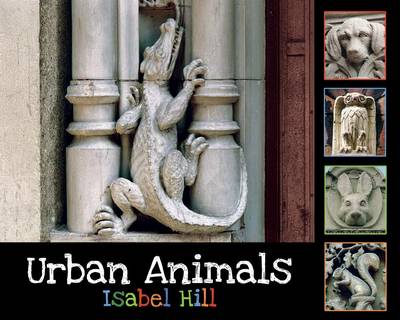 Urban Animals