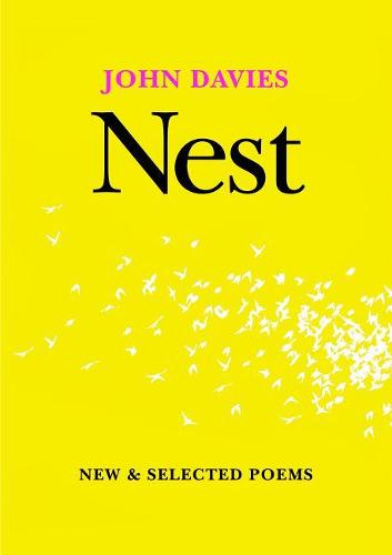Nest
