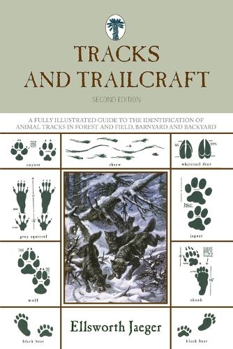 Tracks and Trailcraft