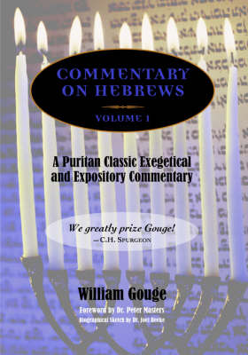 Commentary on Hebrews