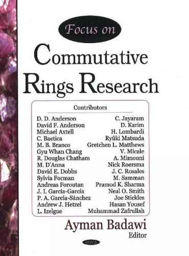 Focus on Commutative Rings Research