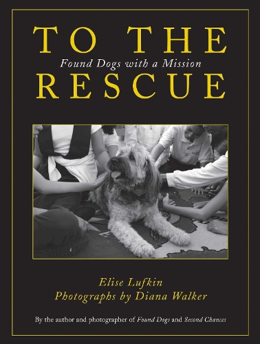 To the Rescue