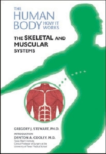 The Skeletal and Muscular Systems