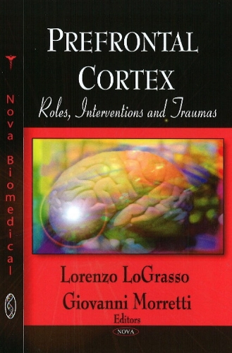 Prefrontal Cortex