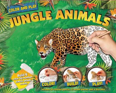 Color and Play