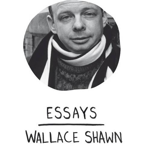 Essays